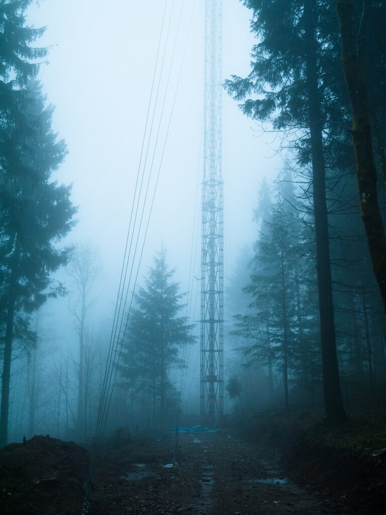 cell tower in foggy woods